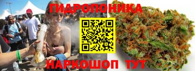гидропоника Бугуруслан
