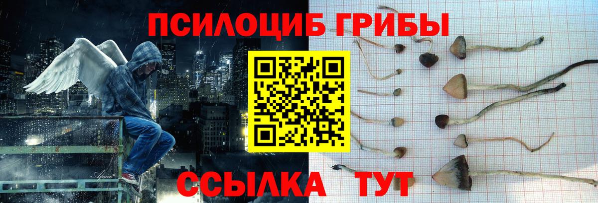 Топки  Галлюциногенные грибы Magic Shrooms  Вход с VPN 